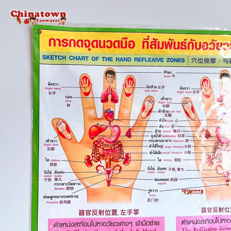 โปสเตอร์-กดจุดมือเขียว-poster-นวด-นวดแผนไทย-ฤษีดัดตน-กดจุดรักษาโรค-การนวดกดจุด-ลมปราณ-นวดแผนโบราณ-นวดแผนไทย