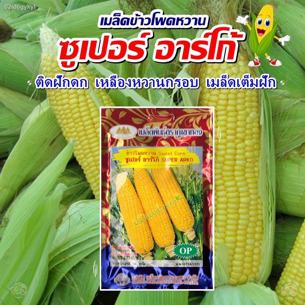 เมล็ดข้าวโพดหวาน-ซูเปอร์-อาร์โก้-sweet-corn-super-arko-เมล็ดพันธุ์ข้าวโพดหวาน-เมล็ดข้าวโพด-เมล็ดพันธุ์ข้าวโพด-ตราภูเขาทอ