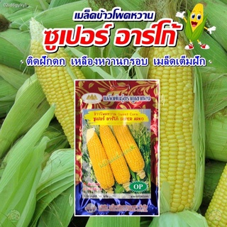 เมล็ดข้าวโพดหวาน ซูเปอร์ อาร์โก้ Sweet Corn Super Arko เมล็ดพันธุ์ข้าวโพดหวาน เมล็ดข้าวโพด เมล็ดพันธุ์ข้าวโพด ตราภูเขาทอ