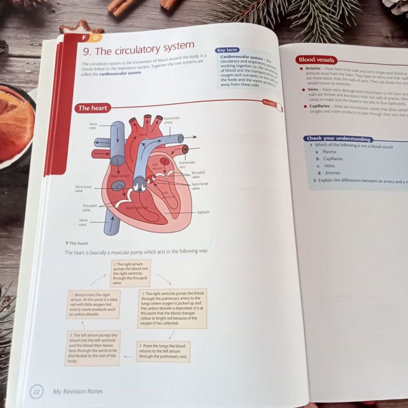 แบบฝึกหัด-aqa-gcse-pe-kirk-bizley-มือสอง