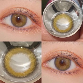 ✨ Brown สายฝอสีน้ำตาล (Wink lens) ขนาดมินิ Mini คอนแทคเลนส์มินิ ☀️กรองแสง uv ✔️จดทะเบียนเครื่องมือแพทย์แล้ว