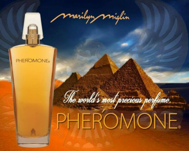 pheromone-by-marilyn-miglin-ขวดฉีดแบ่ง-10ml-rare-edp-travel-decant-spray