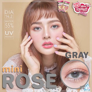 mini Rose Gray (1)(2) Kitty Kawaii มินิ สีเทา เทา ทรีโทน Bigeyes คอนแทคเลนส์ ค่าสายตา ค่าอมน้ำสูง สายตาสั้น แฟชั่น