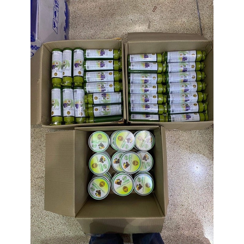 1แถม1-ส่งฟรีแชมพู-แฮร์ลอส-แชมพูสำหรับผมร่วงและช่วยเร่งผมยาว
