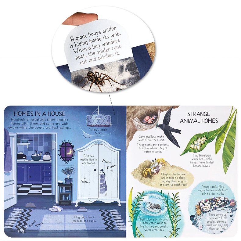 พร้อมส่ง-บอร์ดบุ๊ค-usborne-look-inside-animal-homes-สำหรับเด็ก-3-6-ปี-เปิด-ปิดได้-80-แผ่น