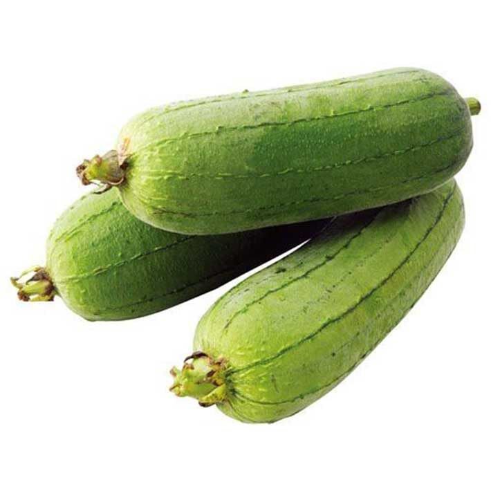 คุณภาพสูง-เมล็ด-เมล็ดพันธุ์-รังบวบ-luffa-seeds-loofah-vegetable-seeds-30-เมล็ด-เมล็ดพันธุ์ผัก-ผักออ-ง่าย-ปลูก-สวนครัว-เ