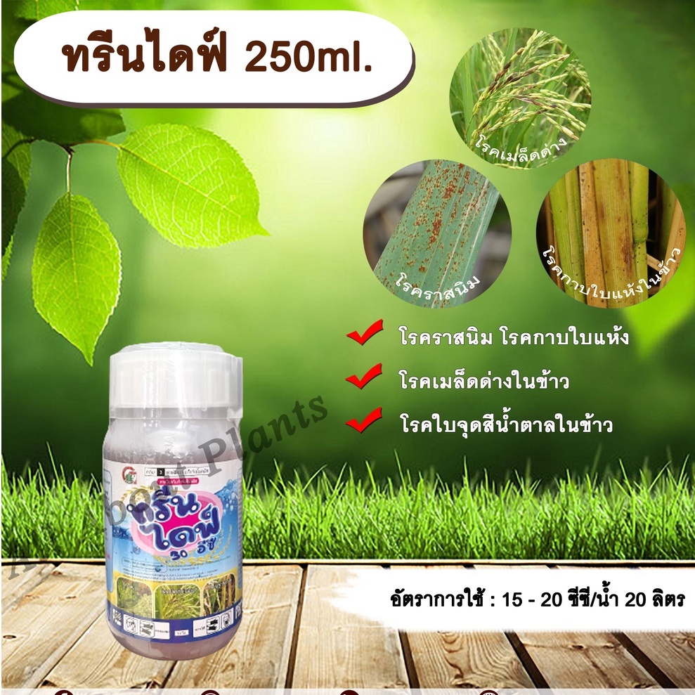 ทรีนไดฟ์-250ml-ไดฟีโนโคนาโซล-โพรพิโคนาโซล-สารกำจัดเชื้อรา-โรคเมล็ดด่าง-โรคราสนิม-โรคใบจุดสีน้ำตาล-โรคกาบใบแห้ง