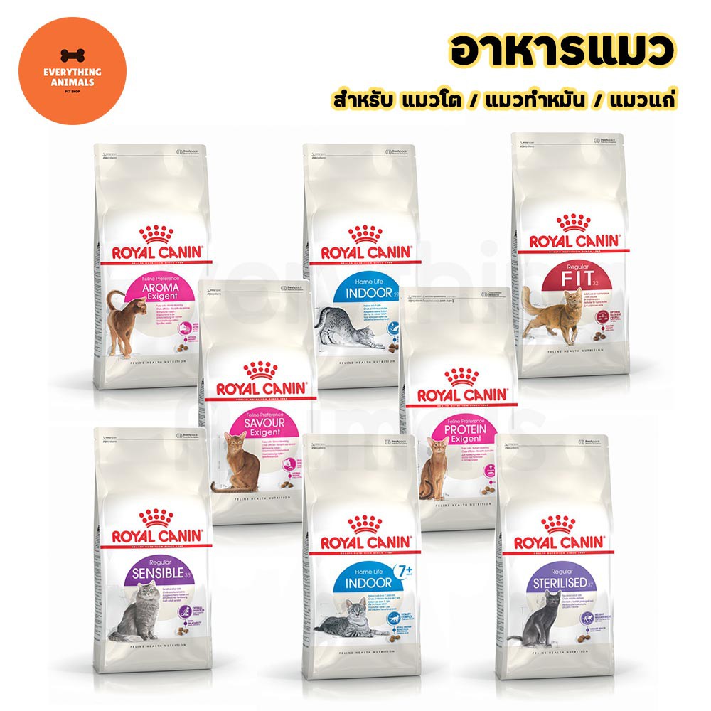 royal-canin-อาหารแมวสูงอายุ-เลี้ยงในบ้าน