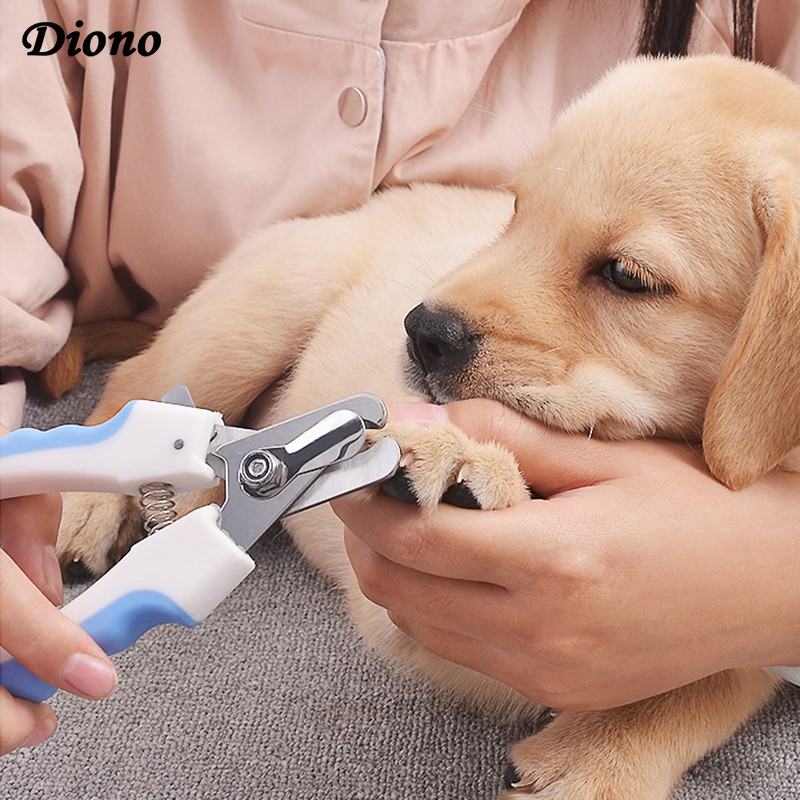 ภาพหน้าปกสินค้ากรรไกรตัดเล็บสัตว์เลี้ยงกรรไกรสำหรับสัตว์เลี้ยงสุนัขแมวเล็บเท้า Claw Clippers กรรไกร Trimmer Grooming เครื่องมือสำหรับสั