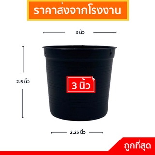 ภาพหน้าปกสินค้ากระถางต้นไม้พลาสติก กระถางต้นไม้ กระถาง สีดำ 3 นิ้ว ที่เกี่ยวข้อง