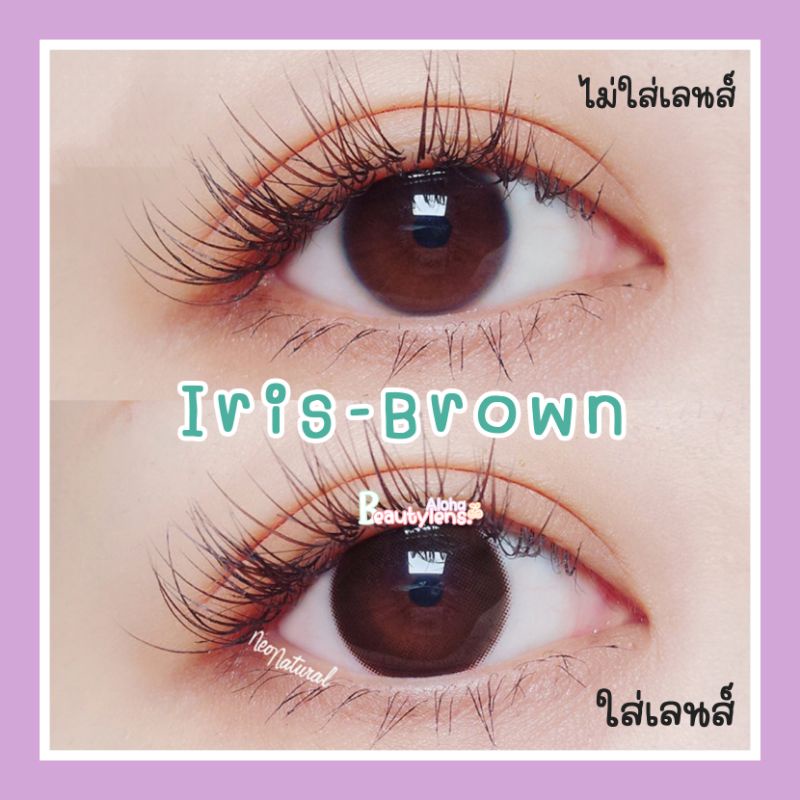 iris-brown-สายตา-00-700-รายเดือน