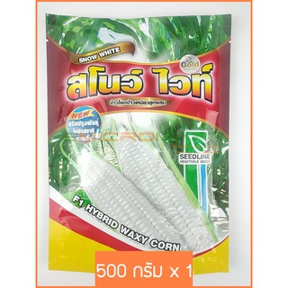 🌱 500g SEEDLINE เมล็ดพันธุ์ ข้าวโพด ข้าวเหนียวหวานลูกผสม พันธุ์สโนว์ไวท์ (Snow White F1 Hybrid Waxy Corn)