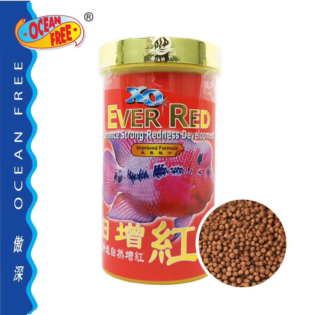 อาหารปลาหมอสี-xo-ever-red-สูตรเร่งสีแดง-กระป๋องแดง