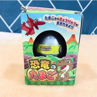 ไดโนเสาร์ ฟักไข่ ของแท้ สินค้าญี่ปุ่นแท้