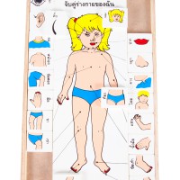 0658-จับคู่ร่างกายของฉัน-ภาษาไทย-จับคู่อวัยวะ-ของเล่นไม้-ของเล่นเสริมพัฒนาการ-สื่อการสอนเด็ก