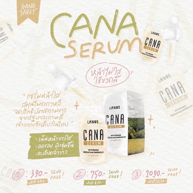 cana-serum-เซรั่มสมุนไพรเกาหลี-จากสารสกัดหลัก-caragana-พืชสมุนไพรพื้นเมือง-ที่ใช้กันในตำรายาแพทย์แผนเกาหลี