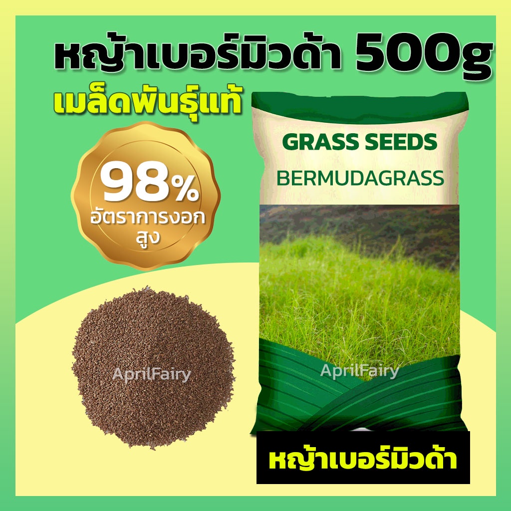 ขายส่ง-1kg-เมล็ดหญ้าเบอร์มิวด้า-เมล็ดพันธุ์-เมล็ด-หญ้าเบอร์มิวด้า-หญ้าเมอบิวด้า-bermuda-grass-seed-เมล็ดพันธุ์แท้