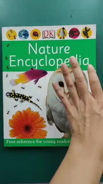 หนังสือเด็กมือสอง-nature-encyclopedia-first-reference-by-dorling-kindersley-หนังสือเด็กภาษาอังกฤษ