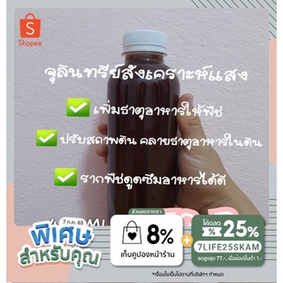 จุลินทรีย์สังเคราะห์แสง&gt;&gt;เพิ่มธาตุอาหารให้พืช ปรับสภาพดิน