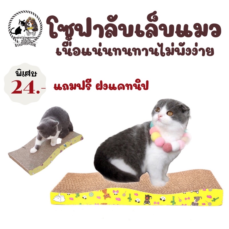 โซฟาลับแมว-ในเล็บแมว-มีหลายขนาด-เริ่มต้นราคา19บาท-มีชำระปลายทาง