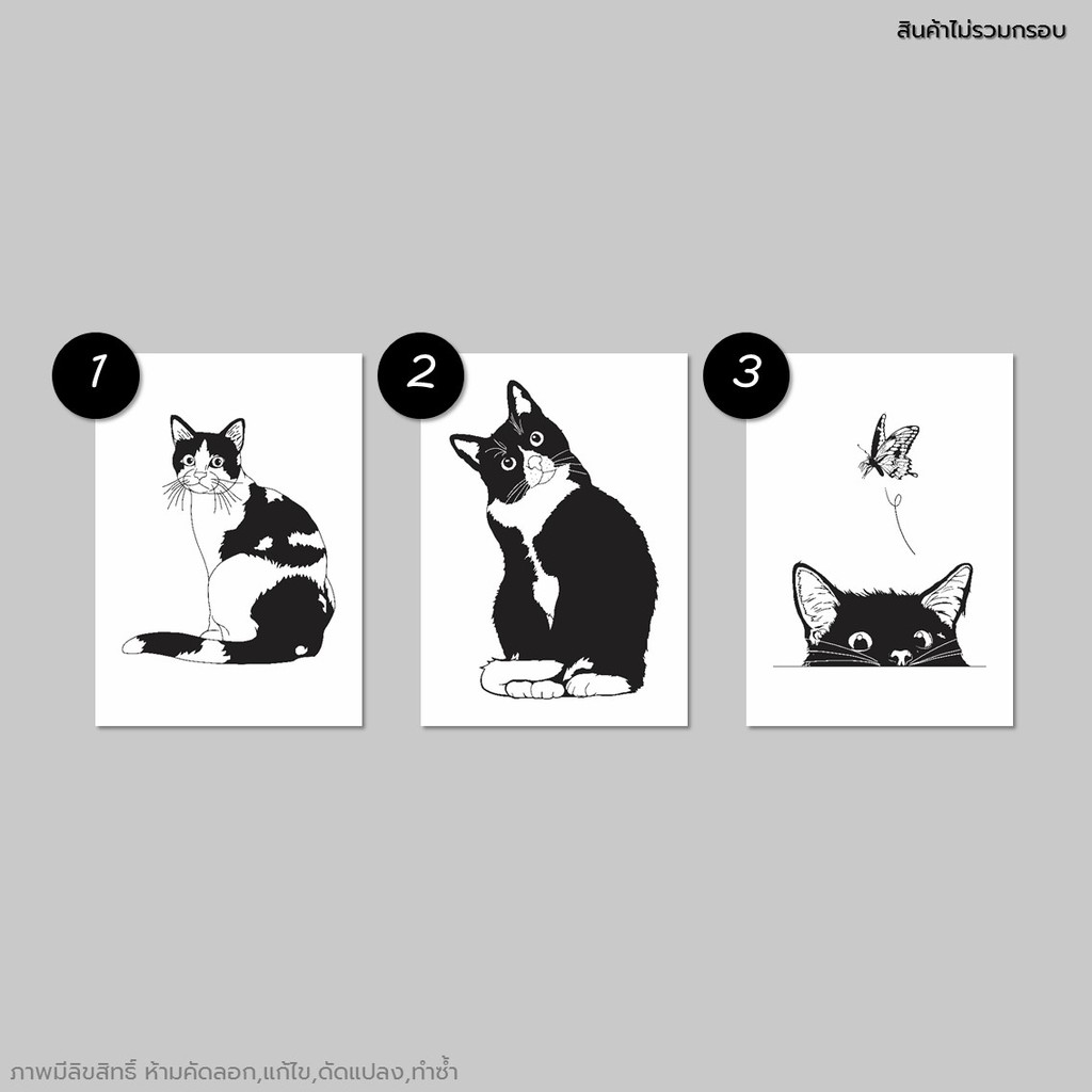 ภาพแมว-รูปแมว-รูปตกแต่ง-ภาพพิมพ์-กระดาษ-100ปอนด์-ขนาด-a3-a4-a5-a6-ภาพติดผนัง-รูปติดผนัง-ทาสแมว-แมว-ขาว-ดำ