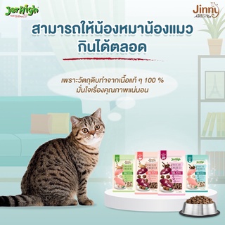 ภาพหน้าปกสินค้าJinny ขนมแมว Freeze Dried จินนี่ ชิ้นเนื้อแท้ 100% ขนาด 40 กรัม ซึ่งคุณอาจชอบราคาและรีวิวของสินค้านี้