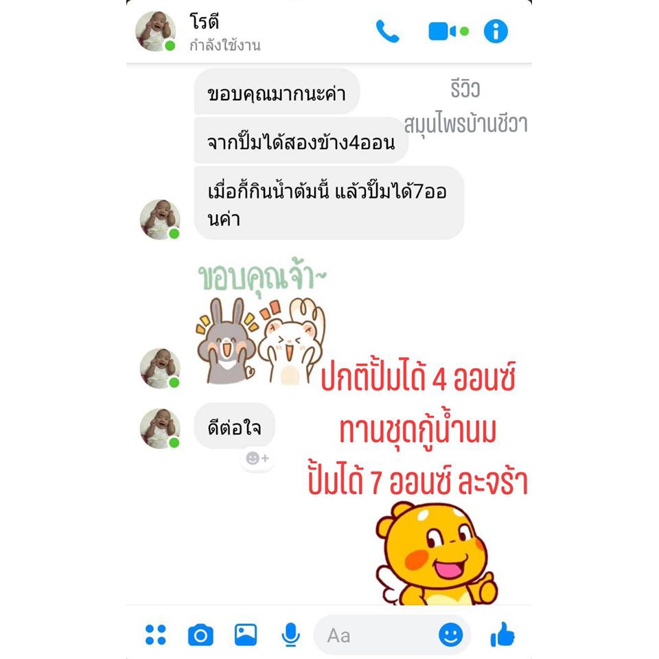 ไม้นมนาง-สมุนไพรเพิ่มน้ำนม-สมุนไพรบ้านชีวา