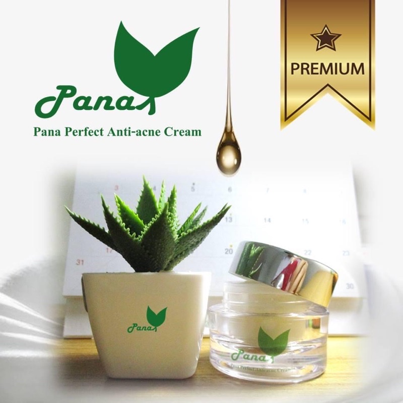 ดีที่สุด-ครีมลดสิว-pana-perfect-anti-acne-cream