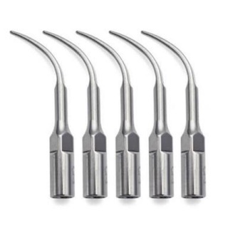 5 PCS Dental Scaling Perio Tips for Woodpecker, EMS, Satelec DTE NSK Ultrasonic Scaler Handpiece G1 and GD1