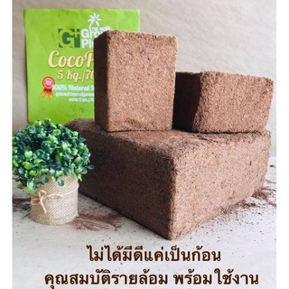 ขุยมะพร้าว โคโค่พีท Coco Peat อัดก้อน ขนาด 400 กรัม ใช้แทนดินเพาะ ผสมปุ๋ยหมักแล้วปลูกได้เลย พร้อมใช้ สะดวก เก็บง่าย