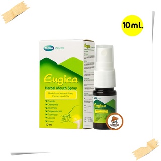 ภาพหน้าปกสินค้าMega We Care Eugica Herbal Mouth Spray 10 ml. propolis สเปรย์พ่นคอ มี โพรโพลิส ชุ่มคอ แก้เจ็บคอ ซึ่งคุณอาจชอบสินค้านี้