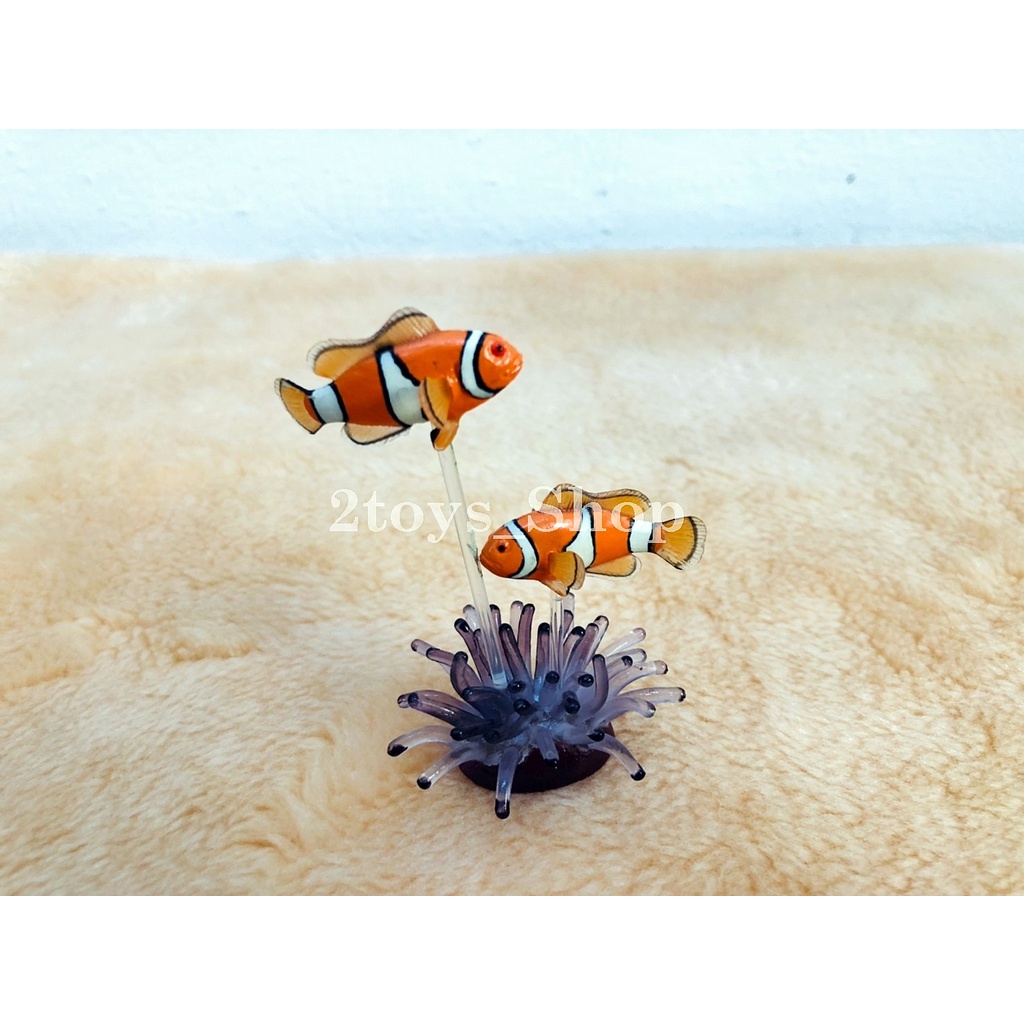 colorata-โมเดลชุดสัตว์น้ำปะการัง
