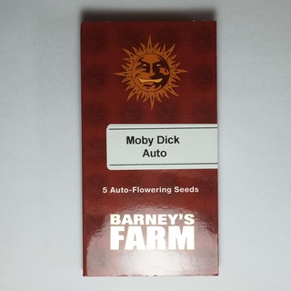 Barneys farm Moby Dick Auto 5 cannabis seeds