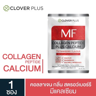 ภาพหน้าปกสินค้าClover Plus MF COLLAGEN PEPTIDE 5000 mg strewberry Flavour คอลลาเจน กลิ่นสตอรว์เบอร์รี วิตามินซี แคลเซียม จำนวน 1ซอง ซึ่งคุณอาจชอบสินค้านี้