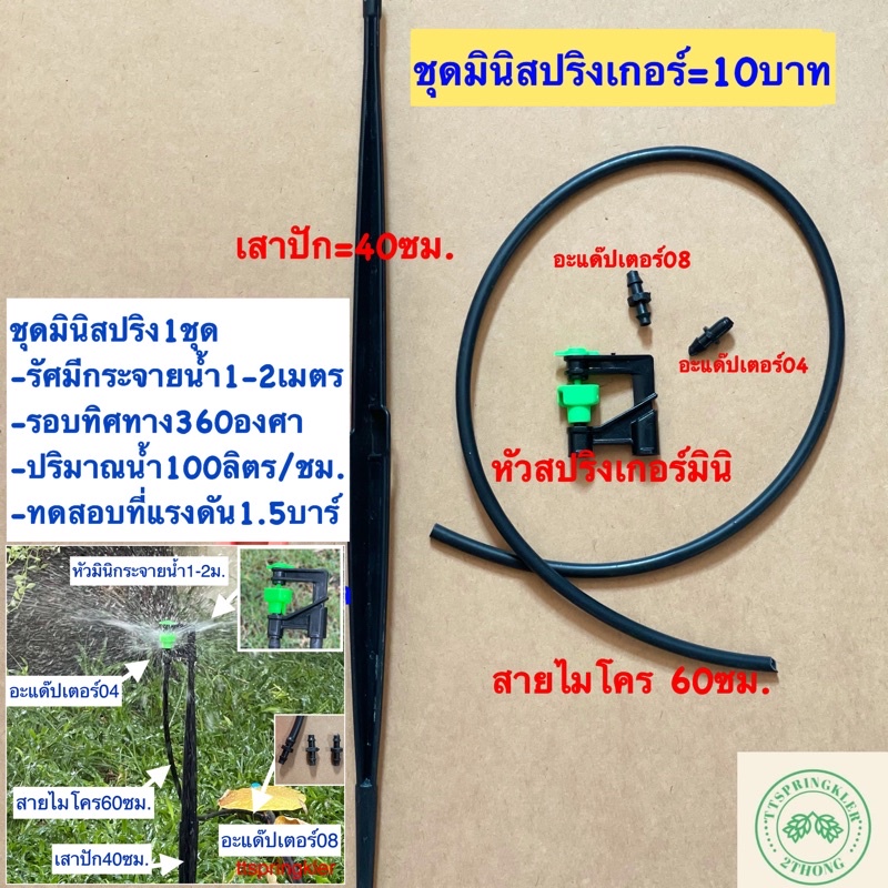 ภาพหน้าปกสินค้าชุดมินิสปริงเกอร์ขาปัก=10บาท มินิสปริงเกอร์วาล์วไมโคร ชุดมินิสปริงเกอร์ท่อpe จากร้าน th_358739812 บน Shopee