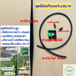 ภาพขนาดย่อของภาพหน้าปกสินค้าชุดมินิสปริงเกอร์ขาปัก=10บาท มินิสปริงเกอร์วาล์วไมโคร ชุดมินิสปริงเกอร์ท่อpe จากร้าน th_358739812 บน Shopee