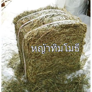 สินค้า หญ้ากระต่าย ทิมโมธี ยกฟ่อน 5 kg