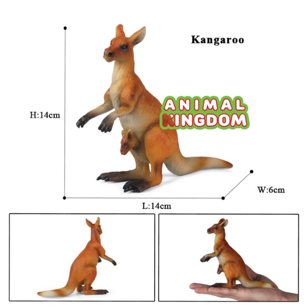 animal-kingdom-โมเดลสัตว์-จิงโจ้-ขนาด-14-00-cm-จากหาดใหญ่