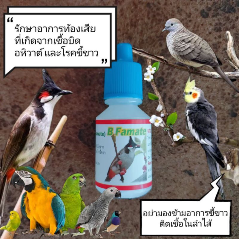 ยานก-มีวิธีการใช้ข้างขวด-แก้บิดในนก-แก้ท้องเสียนก-อหิวาต์นก-บีฟาเมท