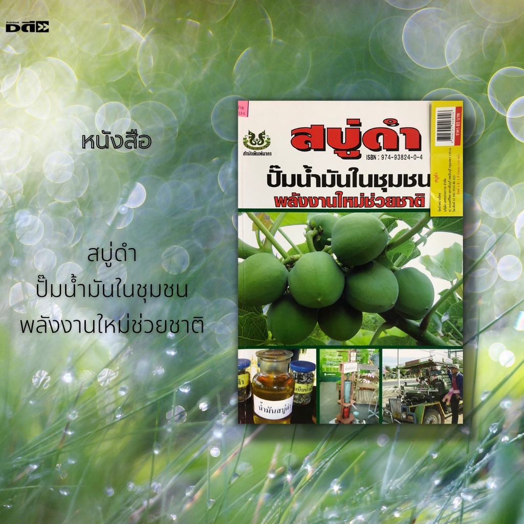 หนังสือ-สบู่ดำ-ปั๊มน้ำมันในชุมชน-พลังงานใหม่ช่วยชาติ-การปลูกสบู่ดำ-การขยายพันธุ์สบู่ดำ-สบู่ดำพืชความหวังของเกษตรกร