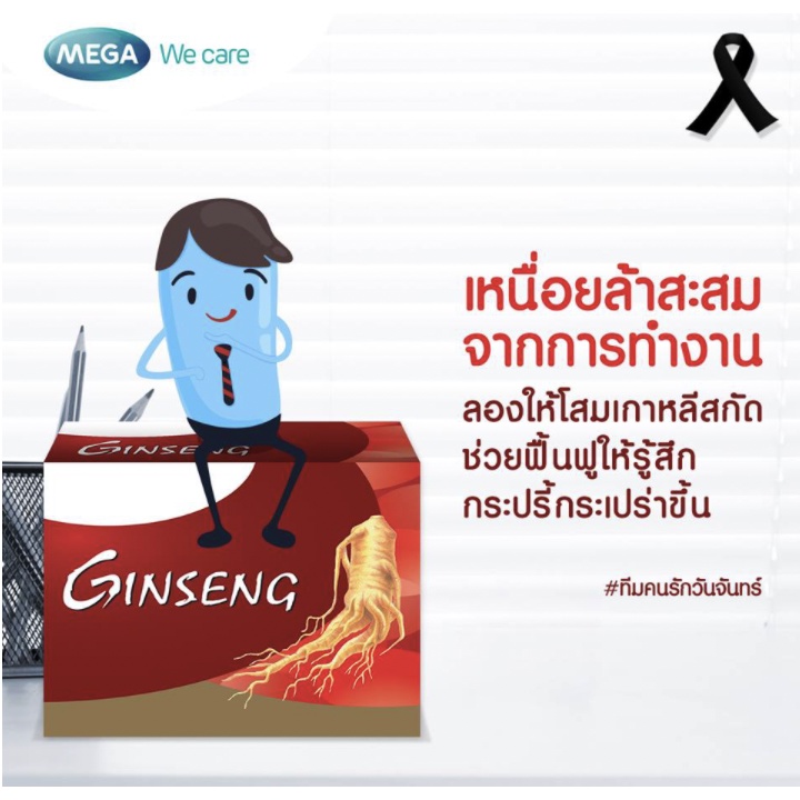 จินโซมิน-เมก้าวีแคร์-ginsomin-mega-wecare-3x10-capsules