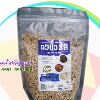 Organic Quinoa ควินัว 3 สี 500 กรัม โปรตีนสูง เส้นใยสูง