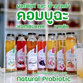 KOMBUCHA คอมบูชา ชาหมักโปรไบโอติกส์   300ml  by A Matter  Bifrosto