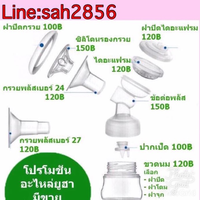 ไดอะแฟรมกันย้อน