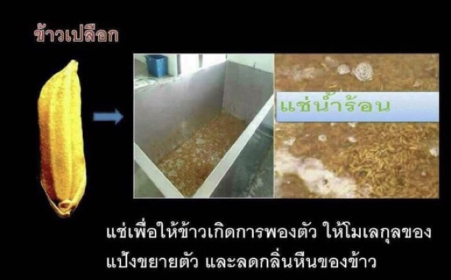 ข้าวออเลิฟ-ราคา195-บาท-ค่าส่ง-100-บาท