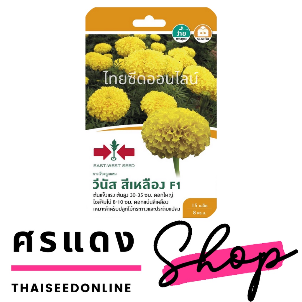ภาพสินค้าGGEW เมล็ดพันธุ์ซฟ ดาวเรืองต้นเตี้ย ดาวเรืองวีนัสสีเหลือง ตราศรแดง Marigold เมล็ดดอกไม้ จากร้าน thaiseedonline บน Shopee ภาพที่ 1