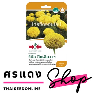 ภาพขนาดย่อของภาพหน้าปกสินค้าGGEW เมล็ดพันธุ์ซฟ ดาวเรืองต้นเตี้ย ดาวเรืองวีนัสสีเหลือง ตราศรแดง Marigold เมล็ดดอกไม้ จากร้าน thaiseedonline บน Shopee ภาพที่ 1