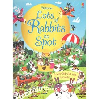 DKTODAY หนังสือ USBORNE LOTS OF RABBITS TO SPOT