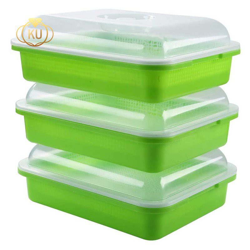 [New]3-Pack Sprouter Tray Soil-Free Big Capacity Healthy Wheatgrass ...