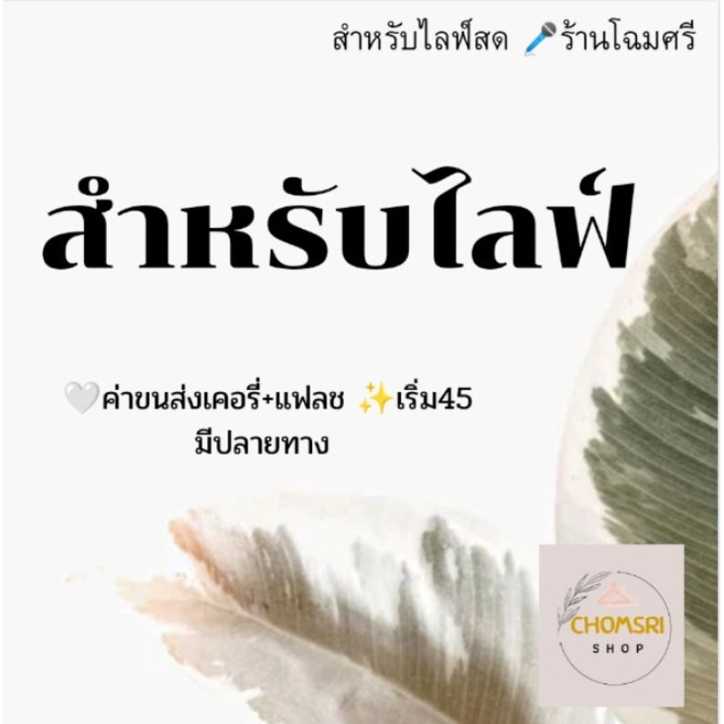 ลิงก์ชำระเงินสำหรับสินค้าในไลฟ์สดเท่านั้นนะคะ-มีปลายทาง-โอน-ส่งขนส่งแฟลชค่ะ-ขอบคุณลูกค้ามากนะคะ